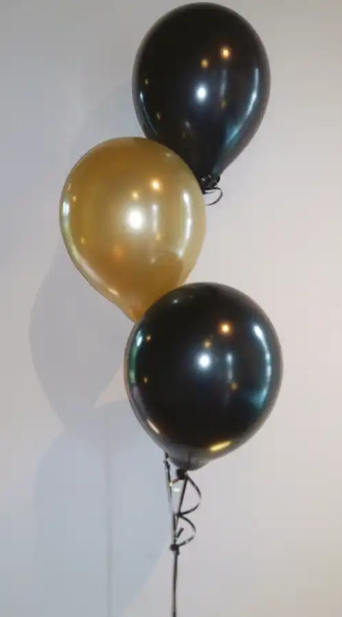 Ballon tros type 2 Ballon tros type 2